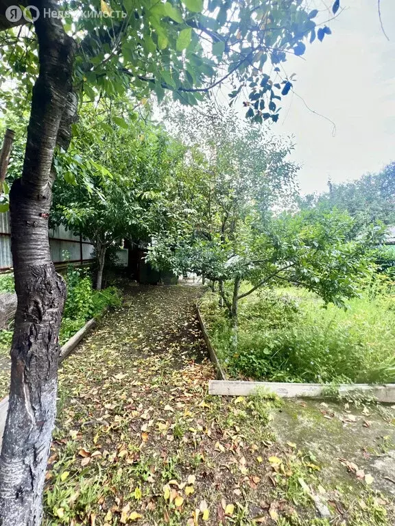 Участок в посёлок городского типа Новомихайловский, улица Мира, 70 ... - Фото 2