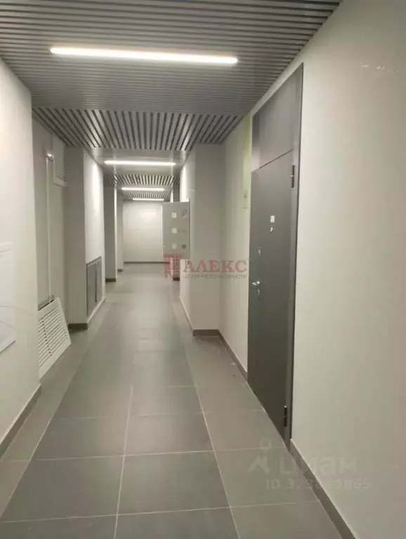 Студия Ростовская область, Ростов-на-Дону ул. Ткачева, 3 (21.4 м) - Фото 2