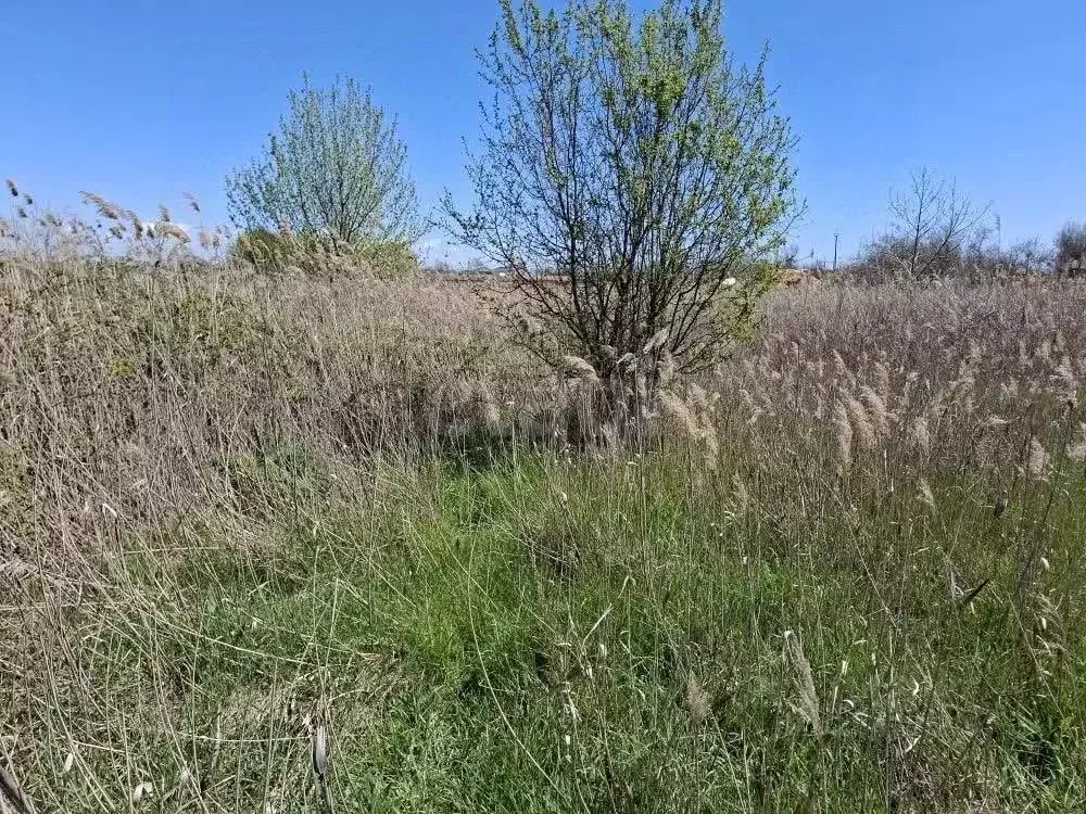 Участок в Крым, Феодосия пер. Казацкий (9.62 сот.) - Фото 1