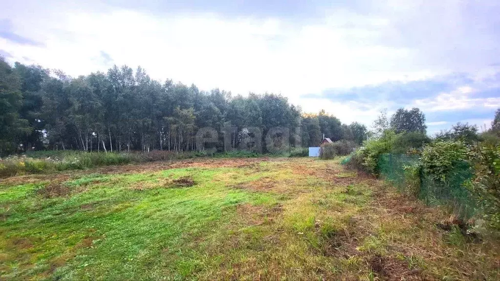 Участок в Тюменская область, Тюмень Садовое товарищество Липовый ... - Фото 1