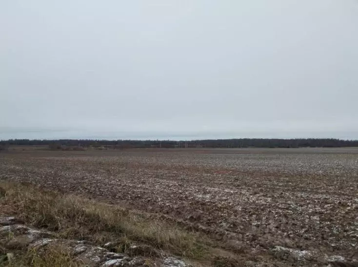 Участок в Московская область, Дмитровский муниципальный округ, д. ... - Фото 0