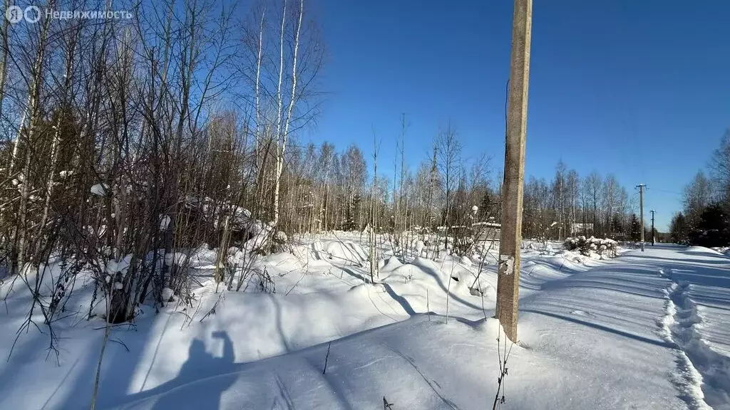 Участок в Кусинское сельское поселение, садоводческий массив ... - Фото 2