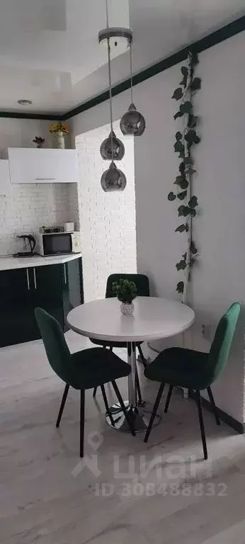 Студия Алтайский край, Рубцовск просп. Ленина, 59 (39.0 м) - Фото 2