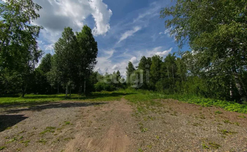 Участок в Томская область, Томск пос. Апрель, ул. Есенина (13.0 сот.) - Фото 1