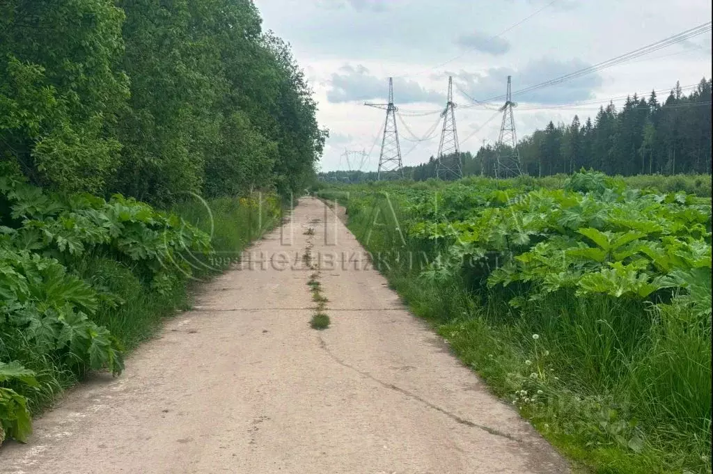 Участок в Ленинградская область, Гатчинский район, д. Новое Колено 2 ... - Фото 0