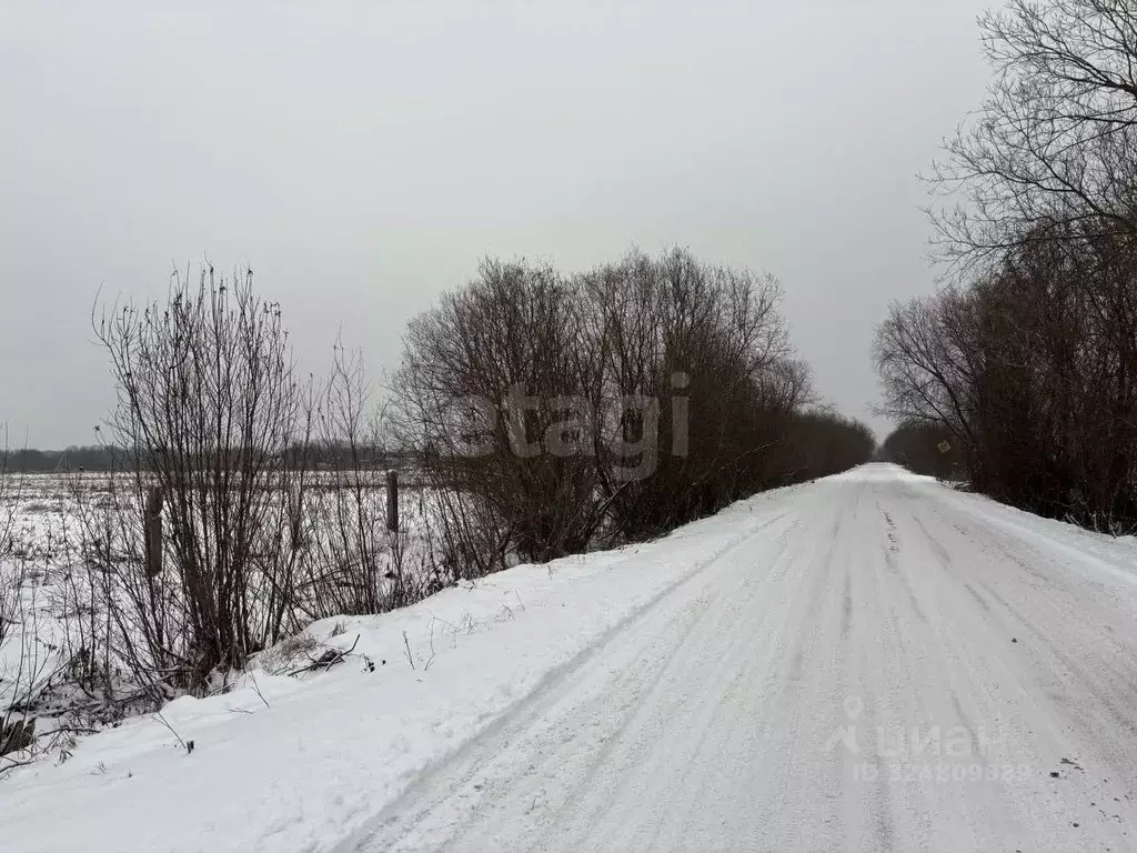 Участок в Архангельская область, Архангельск Нижняя Повракула мкр, ул. ... - Фото 1