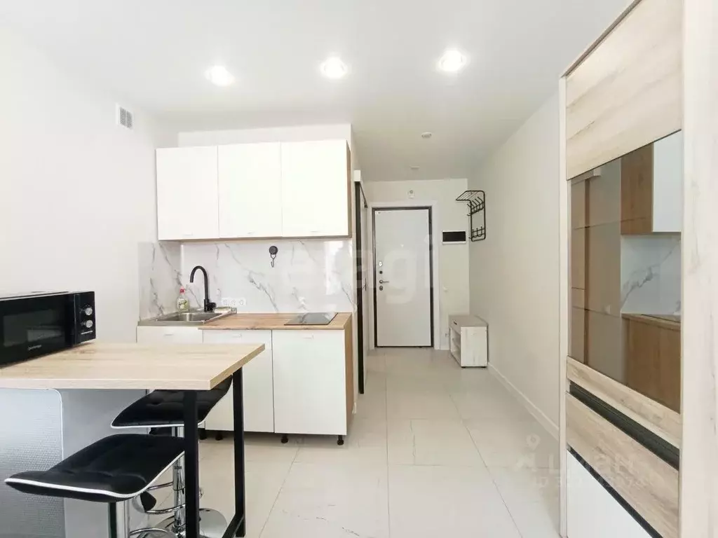 Студия Смоленская область, Смоленск проезд Маршала Конева, 32 (19.8 м) - Фото 1