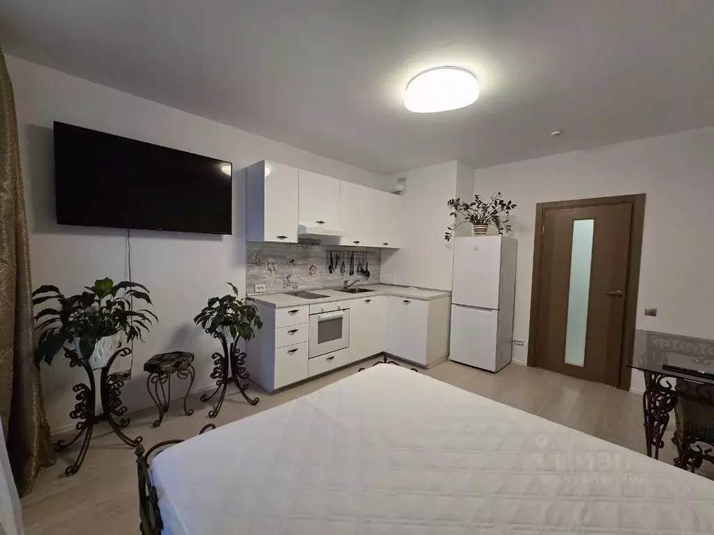 Студия Санкт-Петербург ул. Богословская, 6к3 (30.0 м) - Фото 1