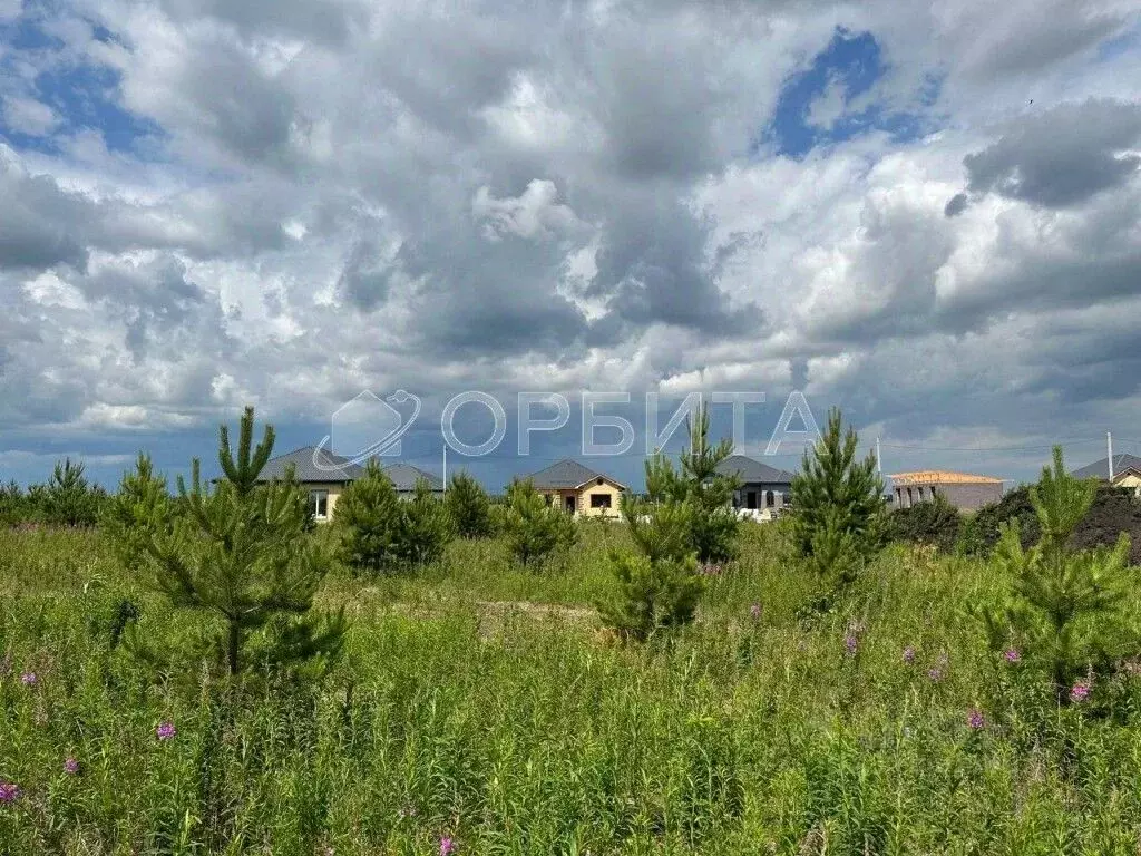 Участок в Тюменская область, Тюменский район, д. Елань 14 (4.2 сот.) - Фото 0