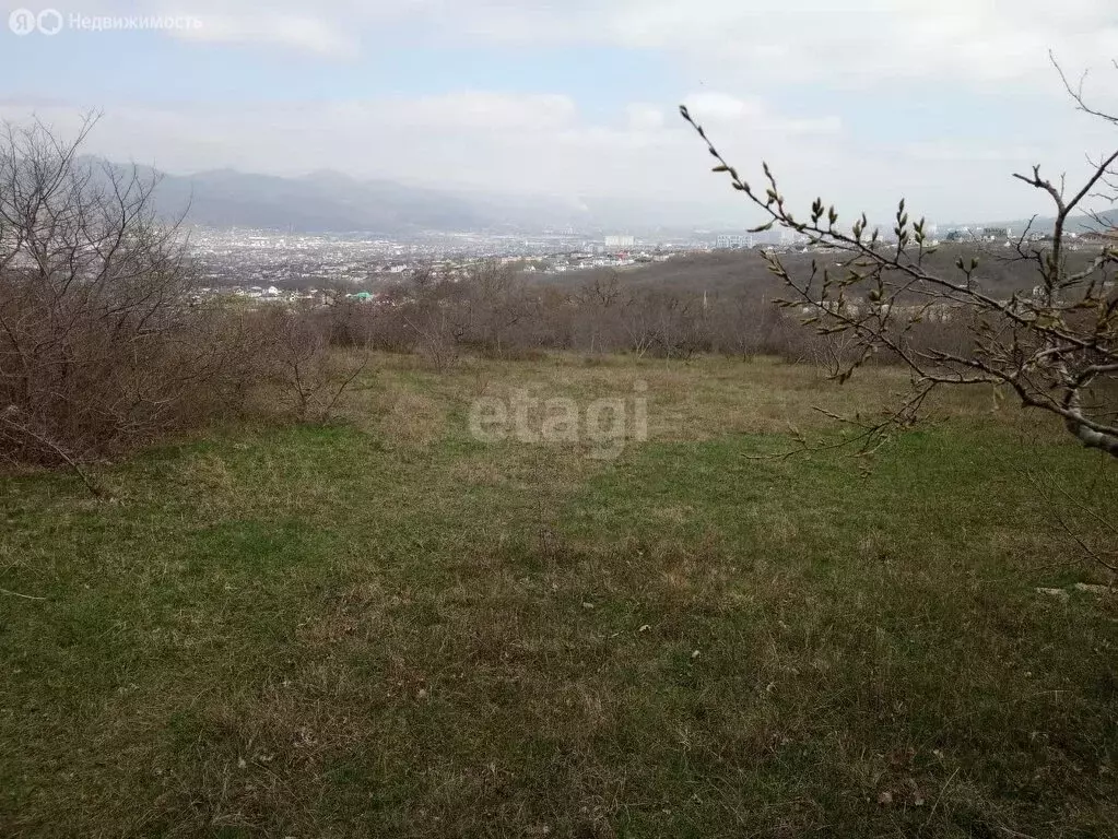 участок в новороссийск, снт золотая рыбка (8 м) - Фото 0