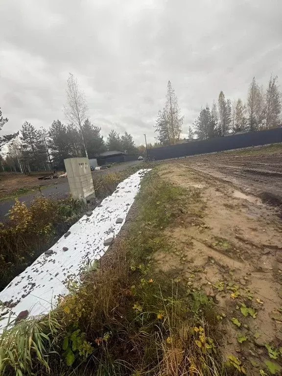 Участок, 6 сот., поселения (ижс) - Фото 2