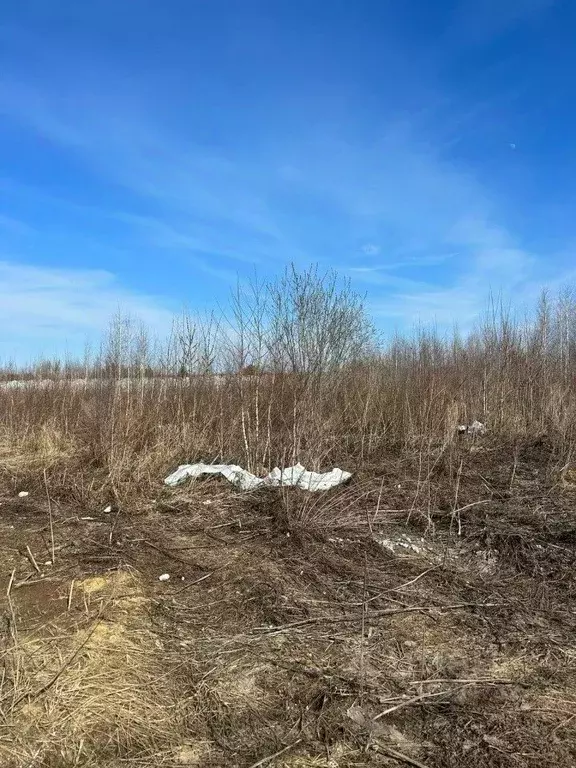 Участок в Свердловская область, Екатеринбург муниципальное ... - Фото 1