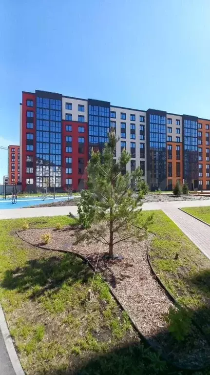 4-к. квартира, 81,8 м, 6/8 эт. - Фото 1