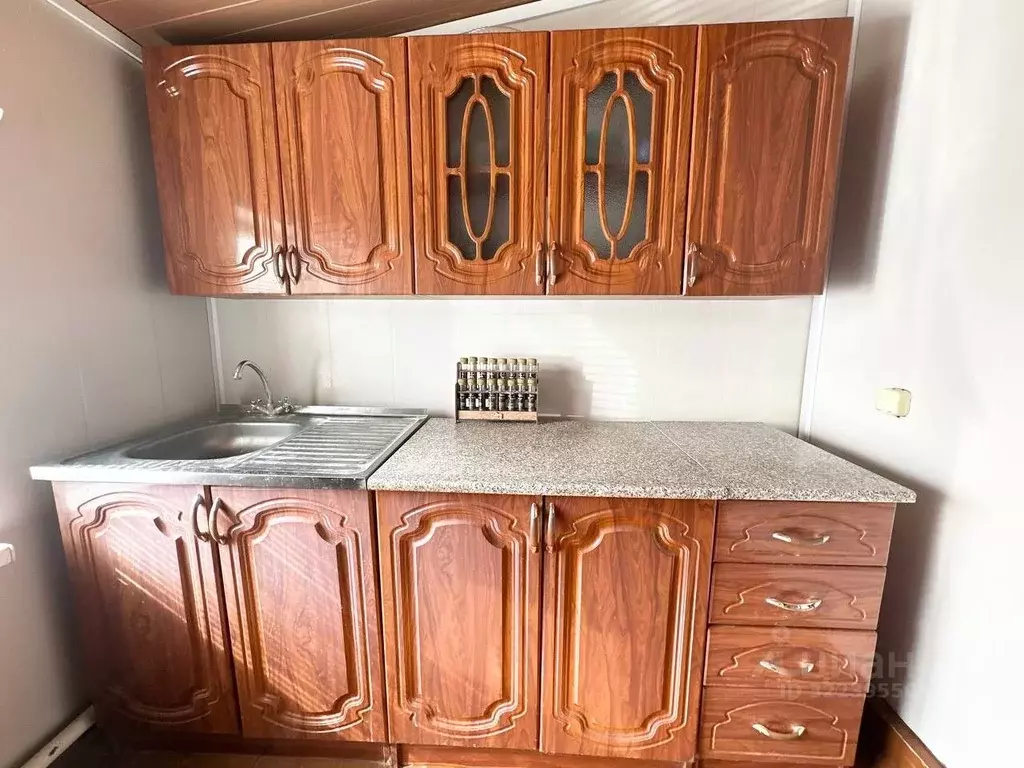 Дом в Оренбургская область, Соль-Илецкий муниципальный округ, с. ... - Фото 1