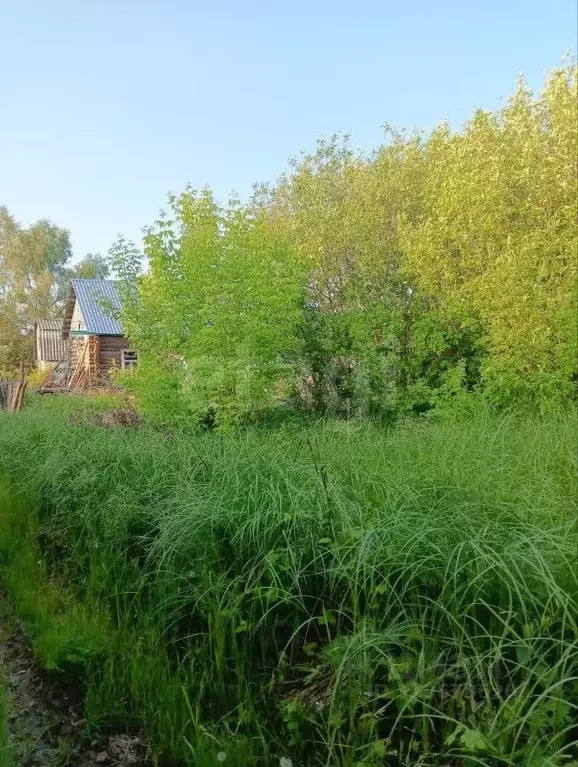 Участок в Ульяновская область, Ульяновск Сокольники СНТ, 9-я линия ... - Фото 1