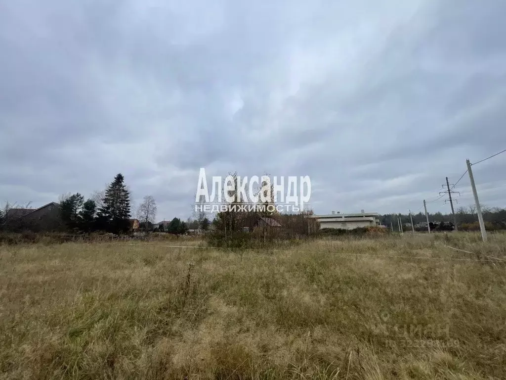 Участок в Ленинградская область, Всеволожский район, Дубровское ... - Фото 2