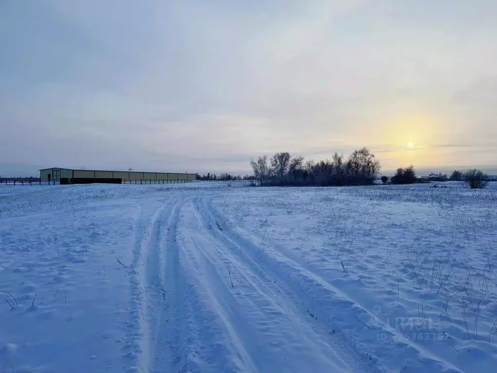 Участок в Саха (Якутия), Якутск городской округ, с. Хатассы  (20.0 ... - Фото 1