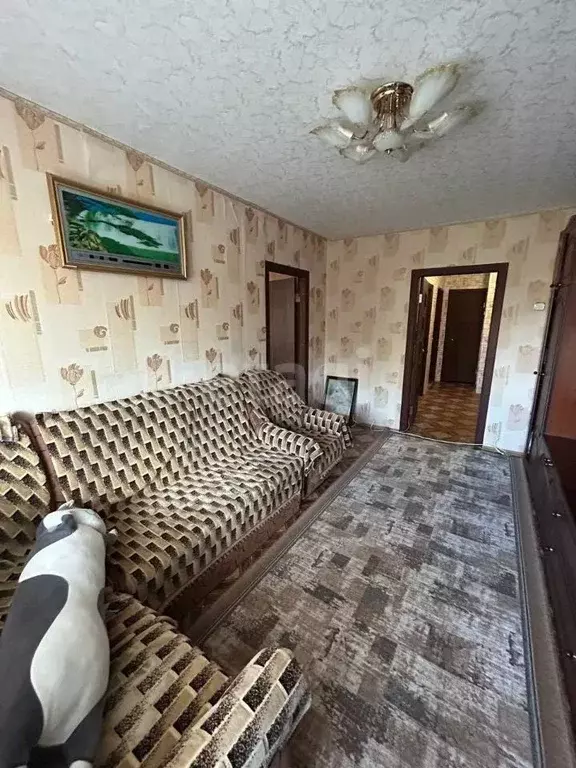 3-к кв. Владимирская область, Ковров ул. Куйбышева, 5 (50.7 м) - Фото 2