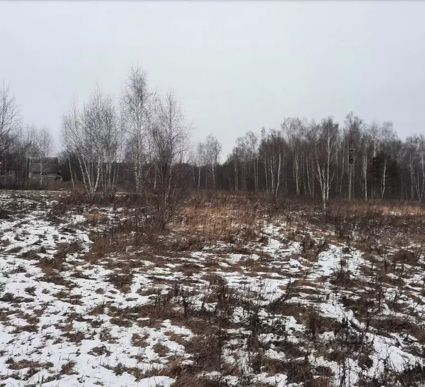 Участок в Московская область, Ступино городской округ, д. Тростники ... - Фото 0