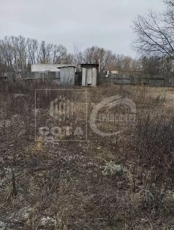 Дом в Воронежская область, с. Новая Усмань ул. Набережная, 14/1 (47 м) - Фото 2