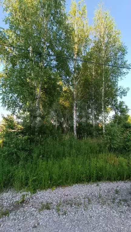 Участок 12,5 сот. (ИЖС) - Фото 1