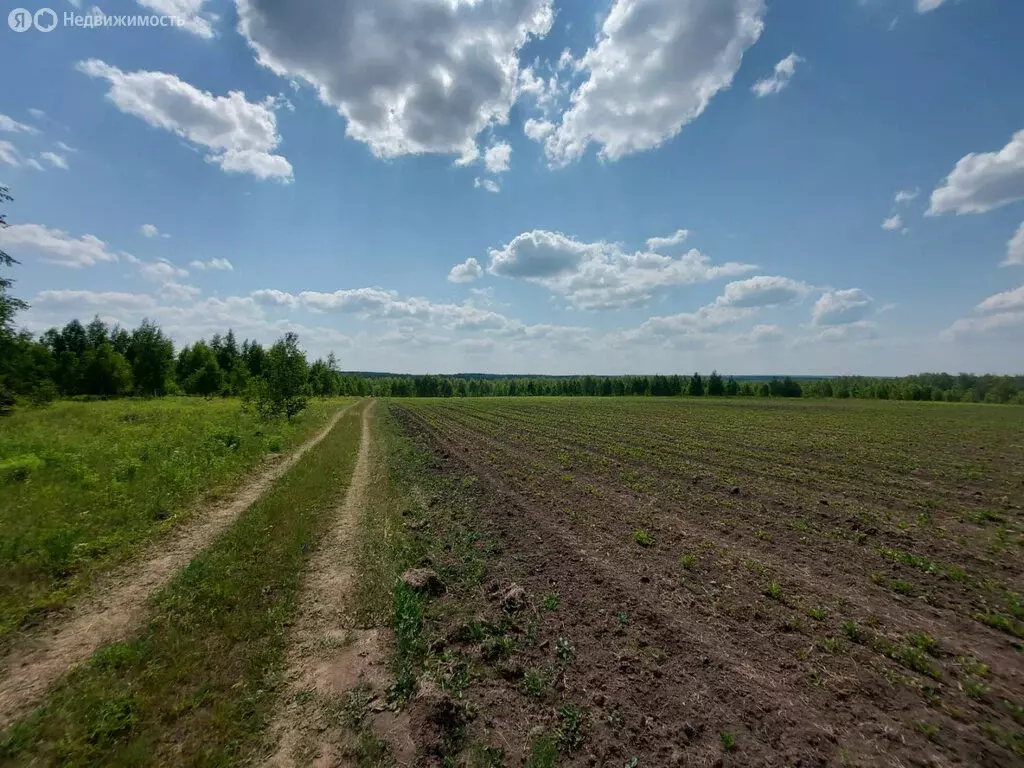 Участок в Московская область, Можайский муниципальный округ, деревня ... - Фото 2