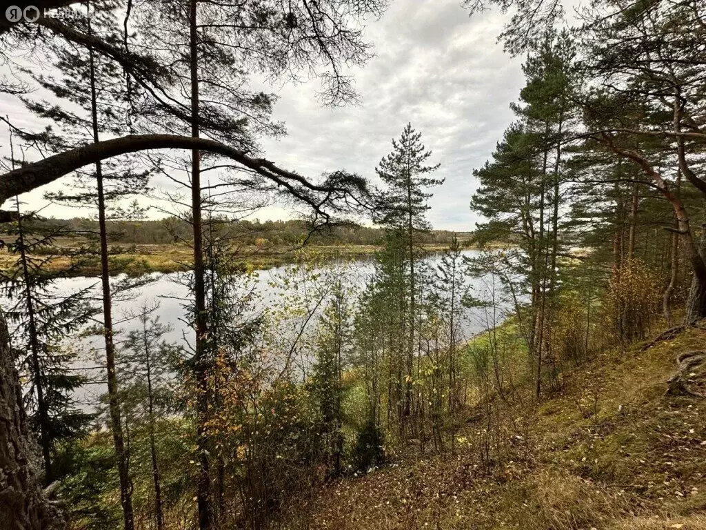 Участок в Тверская область, Старицкий муниципальный округ, деревня ... - Фото 1