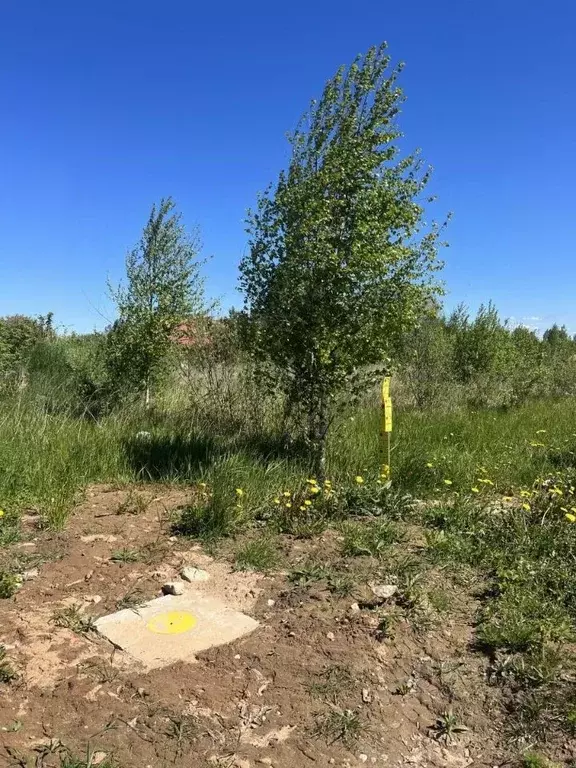 Участок в Псковская область, Печорский муниципальный округ, д. ... - Фото 0