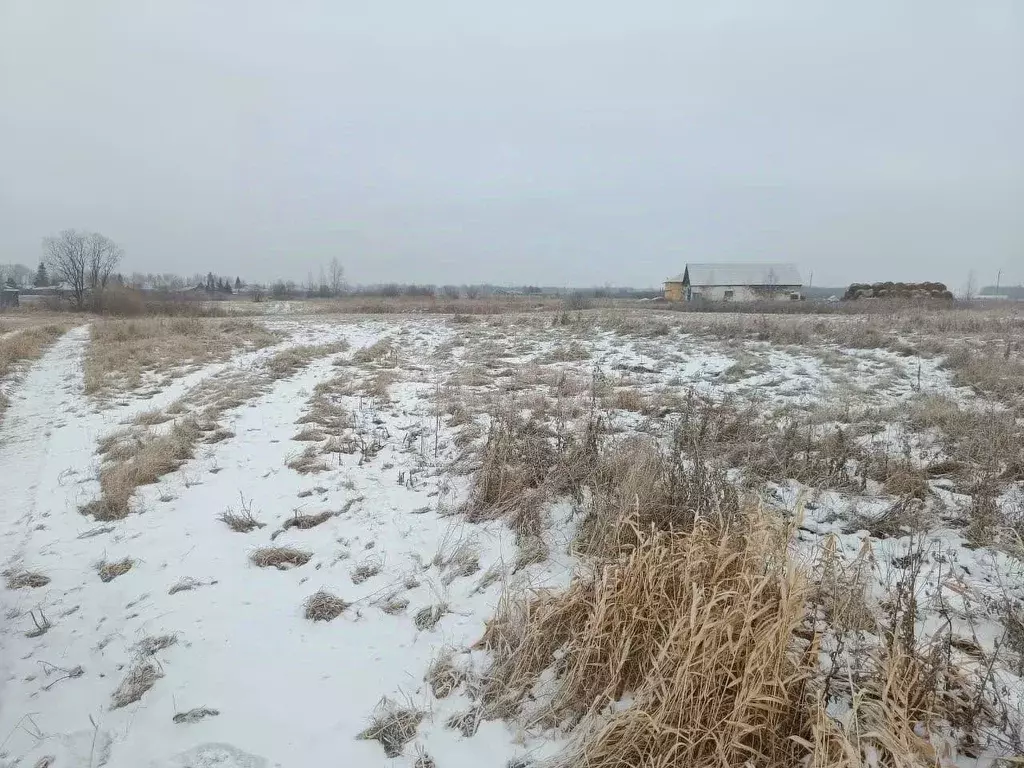 Участок в Свердловская область, Слободо-Туринский район, ... - Фото 1