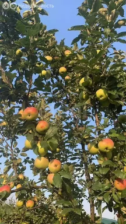 Дом в Тукаевский район, Малошильнинское сельское поселение, ... - Фото 2