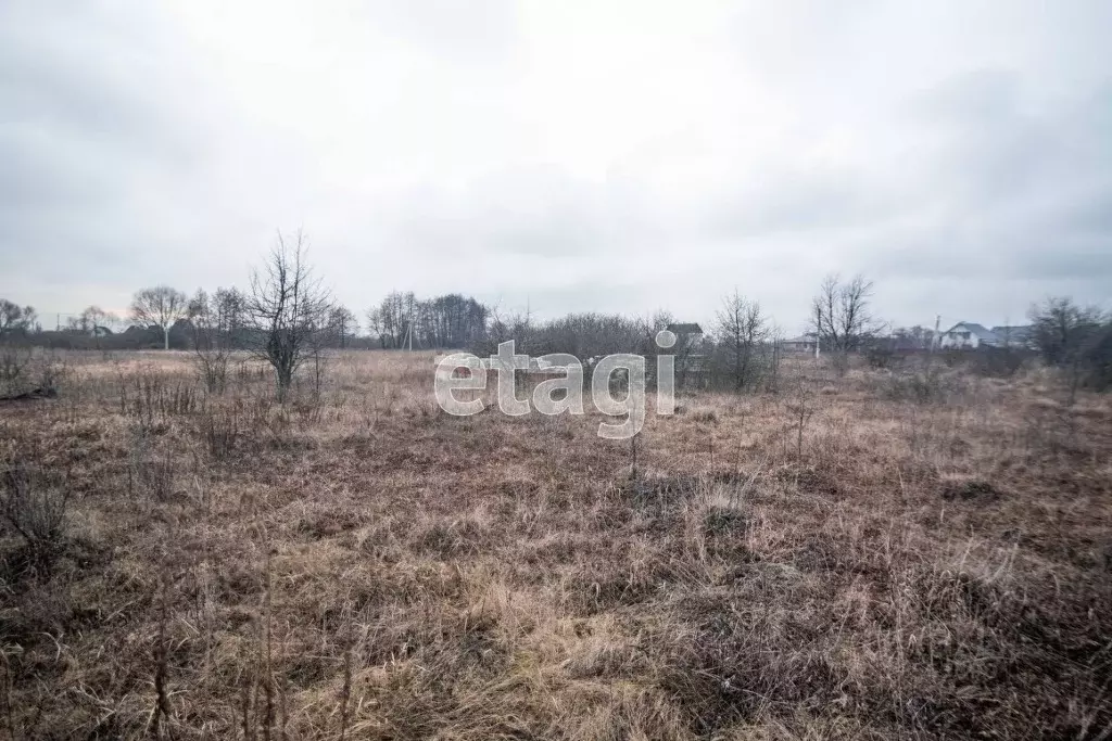 Купить Участок В Новой Усмани Воронежской