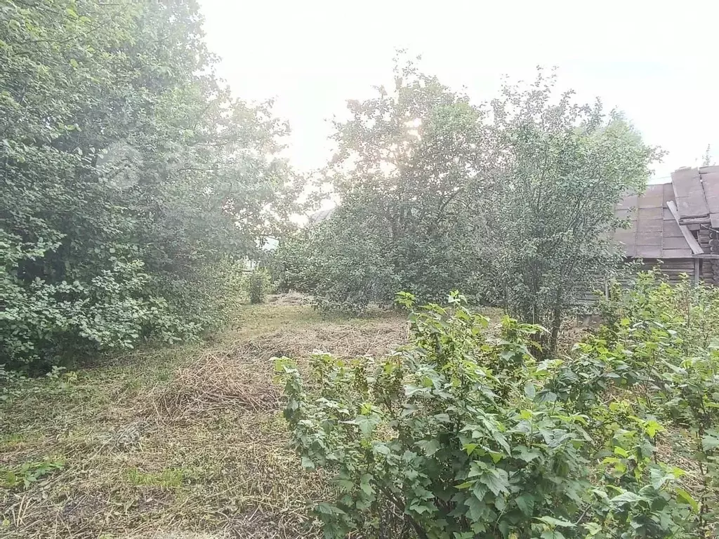 Дом в Чувашия, Цивильский муниципальный округ, д. Михайловка ул. ... - Фото 2