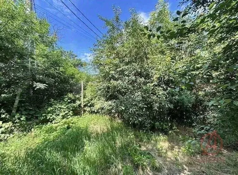 Участок в Краснодарский край, Новороссийск Цемдолина тер., ул. ... - Фото 2