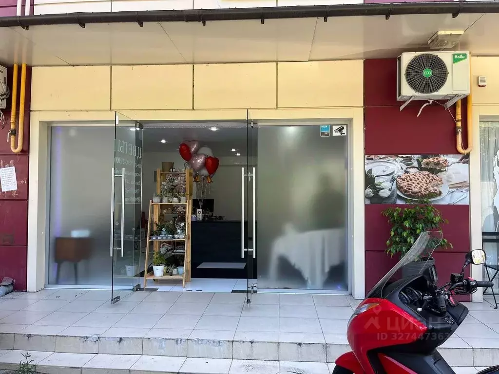 Помещение свободного назначения в Краснодарский край, Сочи Новый Сочи ... - Фото 1