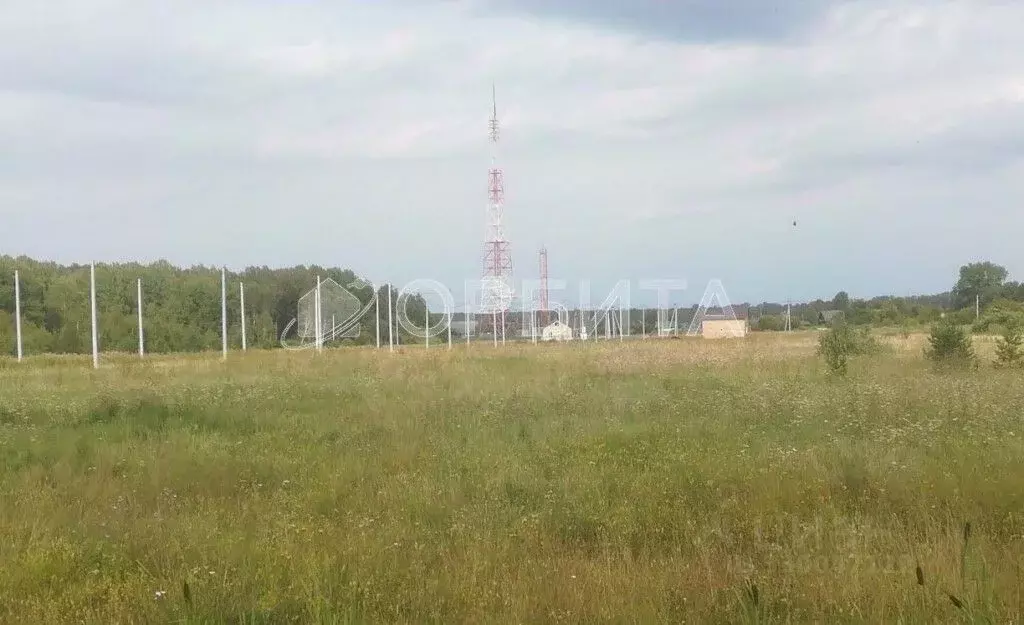 Участок в Свердловская область, Слободо-Туринский район, ... - Фото 2