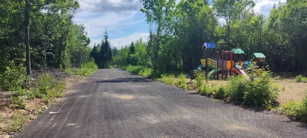 Участок в Московская область, Лосино-Петровский городской округ, ... - Фото 1