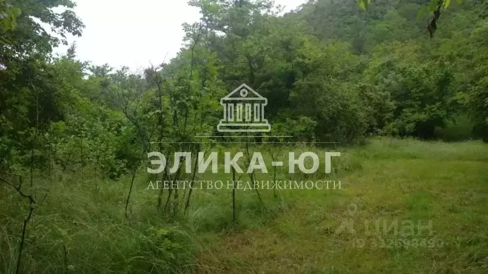 Участок в Краснодарский край, Туапсинский муниципальный округ, с. ... - Фото 2