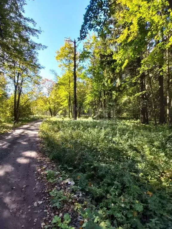 Участок в Московская область, Солнечногорск городской округ, пос. ... - Фото 1