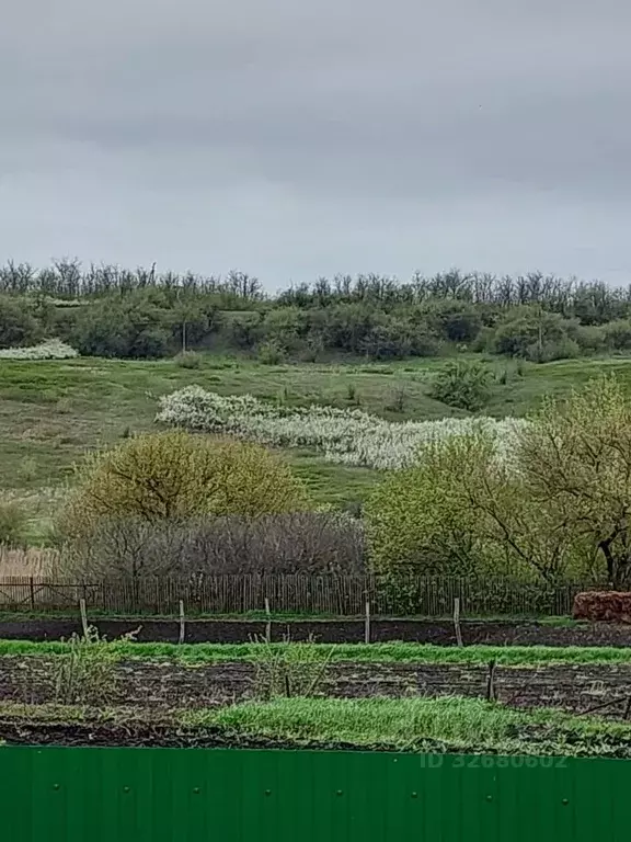 Большекрепинская ростовская область карта