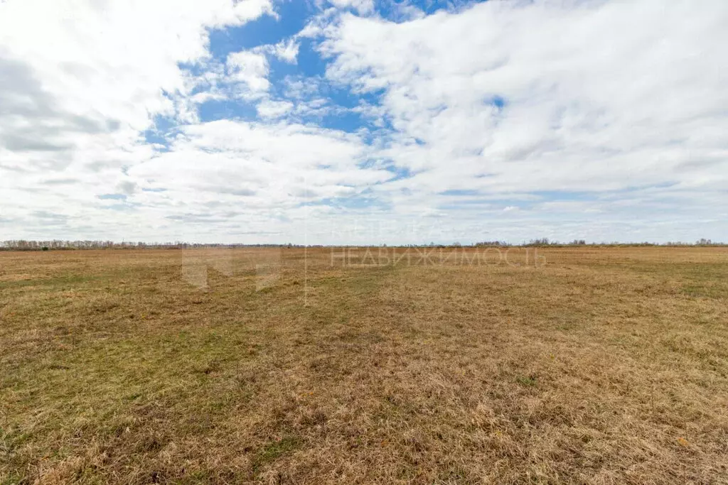 Участок в Тюменский муниципальный округ, село Ембаево (6.53 м) - Фото 1