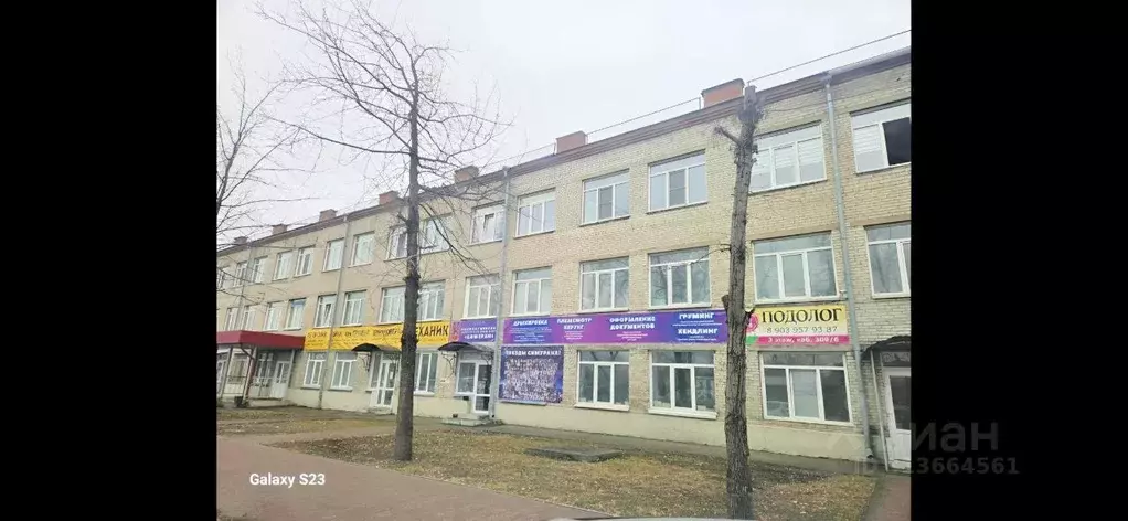 Офис в Алтайский край, Бийск ул. Петра Мерлина, 65 (18 м) - Фото 0