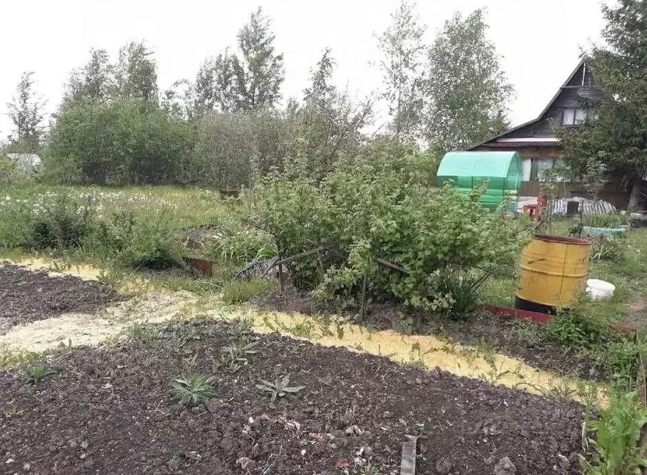 Участок в Новгородская область, Новгородский район, Панковское ... - Фото 2