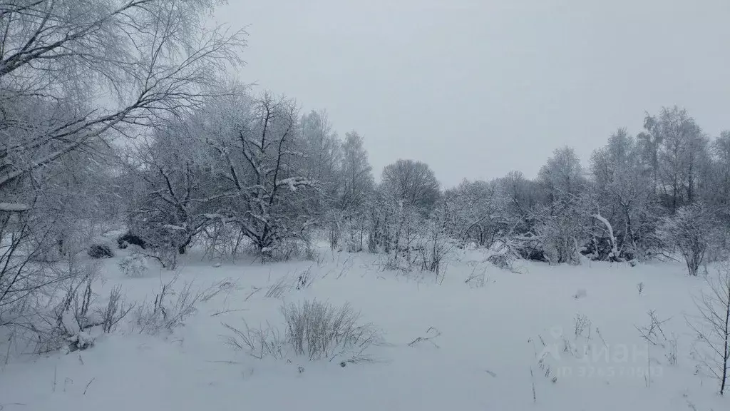 Участок в Московская область, Можайский муниципальный округ, пос. ... - Фото 2
