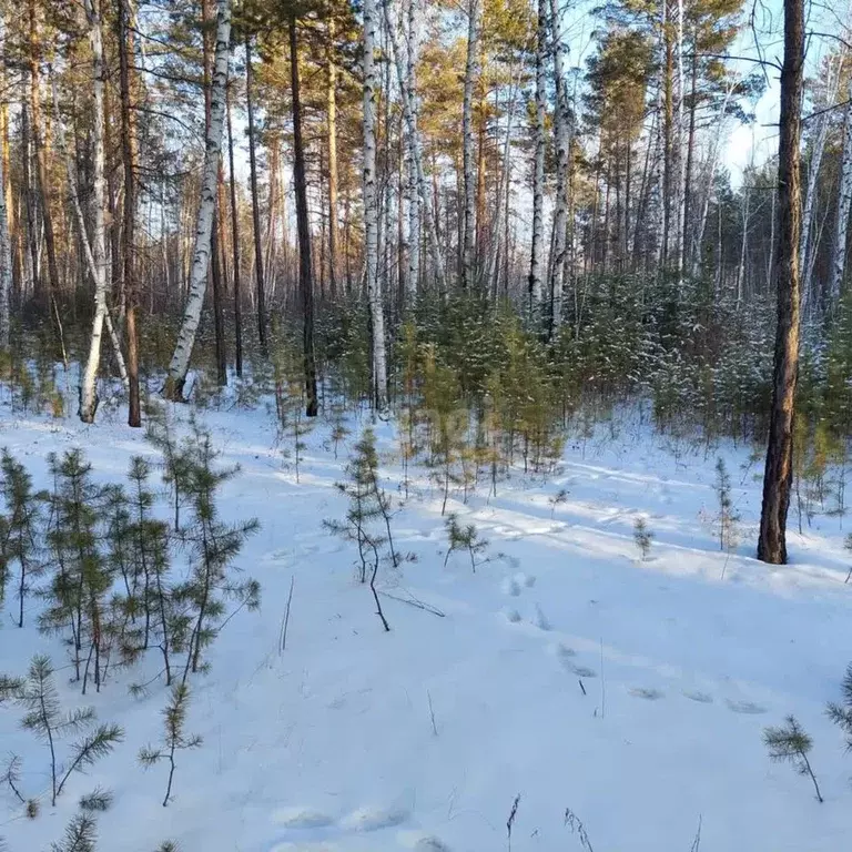 Участок в Забайкальский край, Читинский район, с. Смоленка  (8.1 сот.) - Фото 0