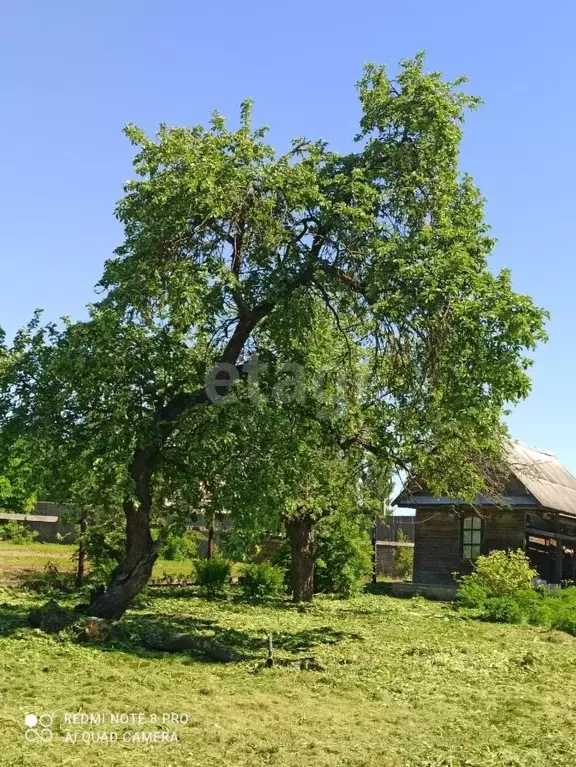 Дом в Тверская область, Калининский муниципальный округ, д. Обухово  ... - Фото 0