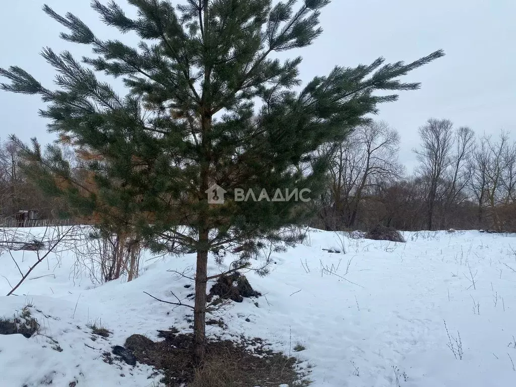 Участок в Пензенская область, с. Бессоновка ул. Карьер (15.0 сот.) - Фото 1