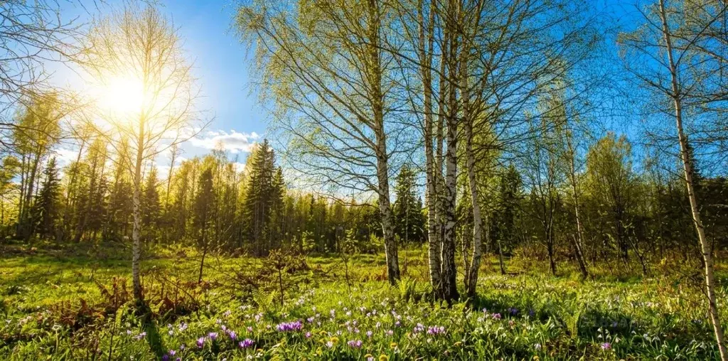 Участок в Свердловская область, Кировградский муниципальный округ, ... - Фото 2