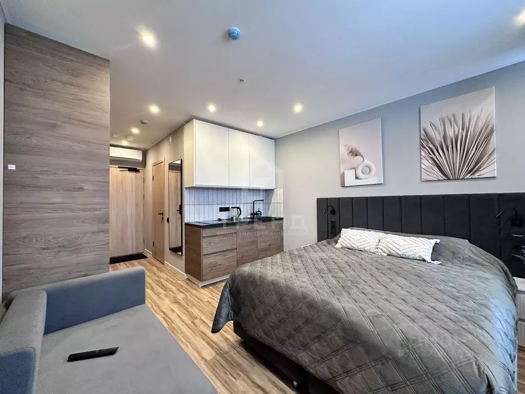 Студия Санкт-Петербург просп. Энергетиков, 2к2 (22.1 м) - Фото 1