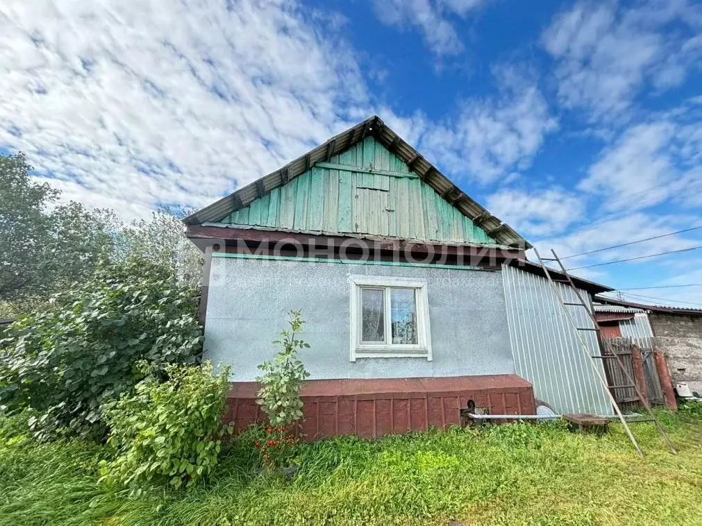 Дом в Амурская область, Белогорск ул. 1-я Стахановская, 15 (48 м) - Фото 2