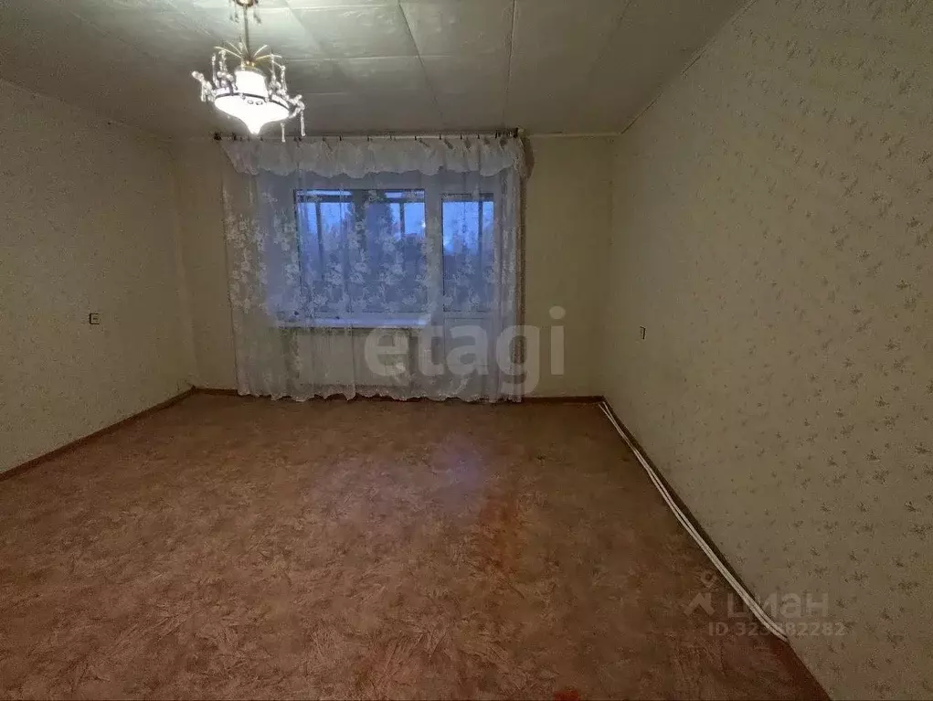 1-к кв. Владимирская область, Муром д. Пестенькино, ул. Центральная, ... - Фото 1